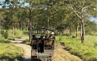 Jungle-safari-in-the-national-park-in-Nepal