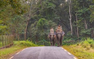 Two-locals-riding-on-elephants-in-Nepal