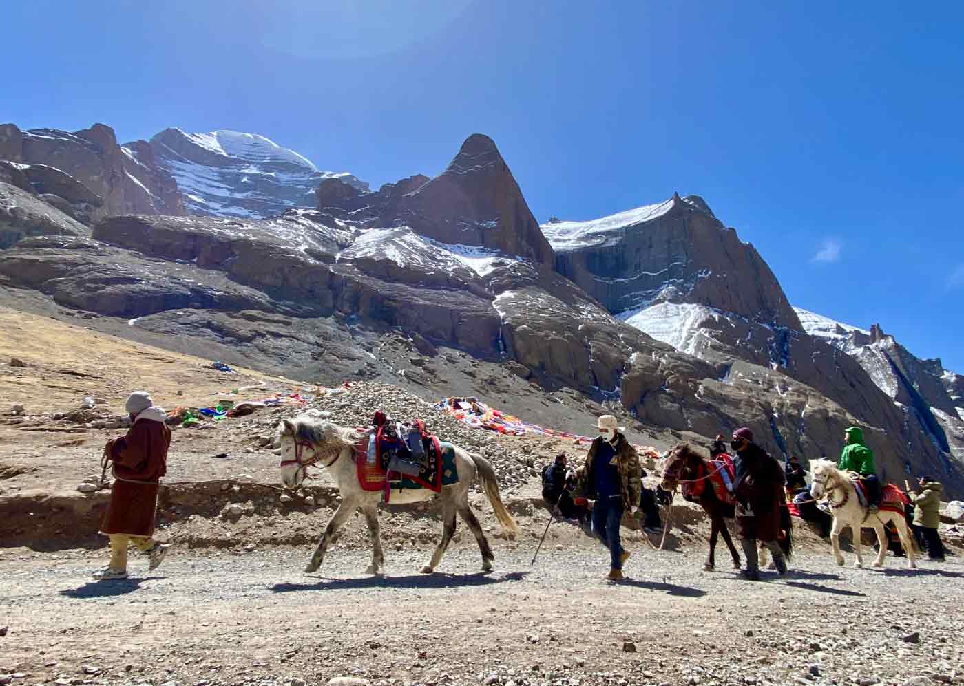 Tibetan Ponies On Kailash Mansarovar Yatra